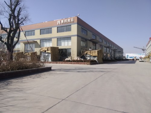路麵拋丸機沂水鼎邦食品公司客戶現場
