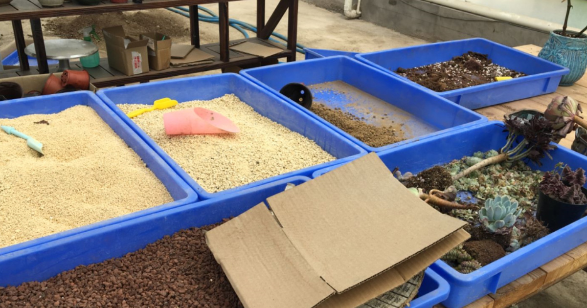 周轉箱種（zhǒng）植應用